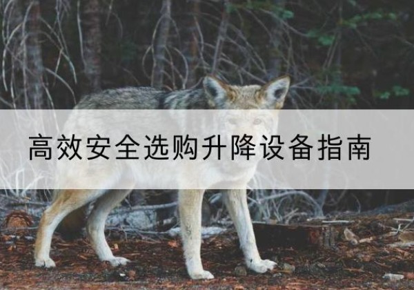 芷江升降货梯厂家推荐-*安全选购升降设备指南