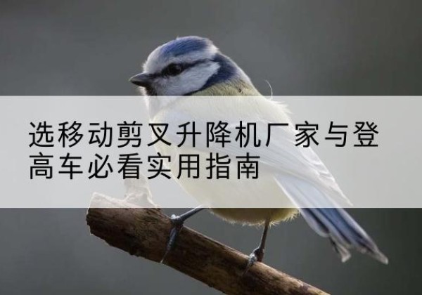 芷江电动升降机厂家-选移动剪叉升降机厂家与登高车必看实用指南