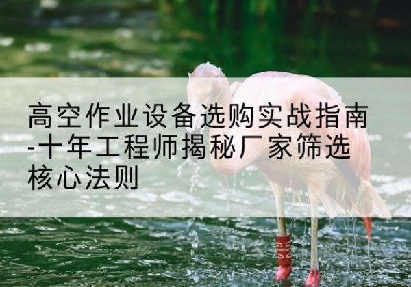 芷江剪叉式升降机厂家-高空作业设备选购实战指南-十年工程师揭秘厂家筛选核心法则